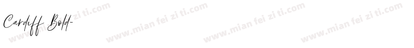 Cardiff Bold字体转换